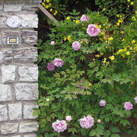 B&B Il Glicine Bedizzole Luaran gambar
