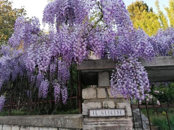B&B Il Glicine Bedizzole Luaran gambar