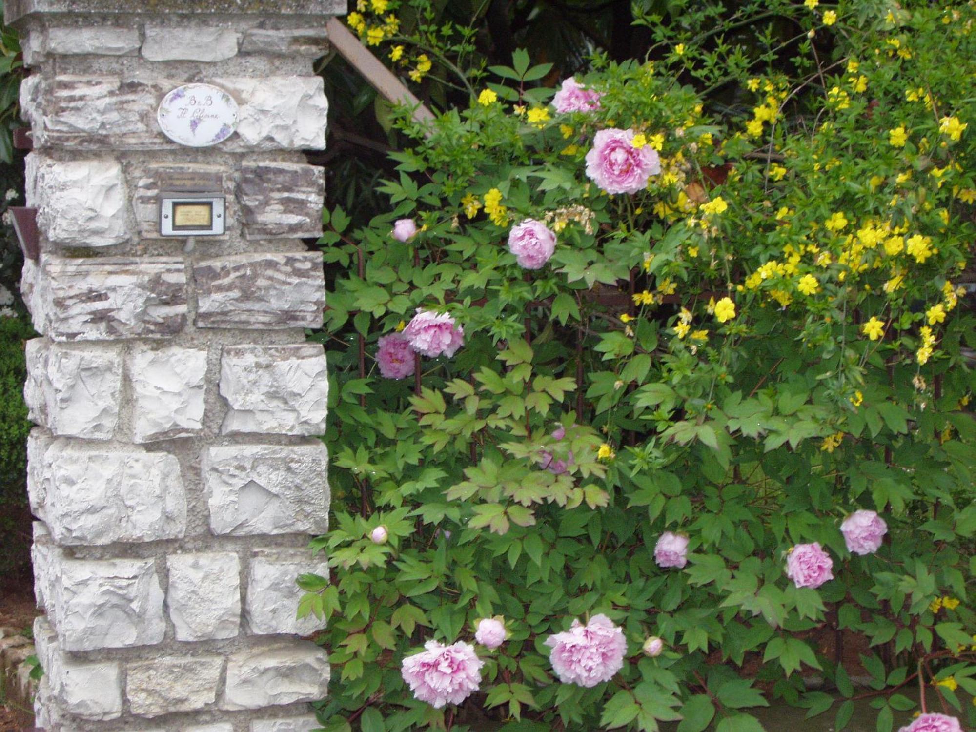 B&B Il Glicine Bedizzole Luaran gambar