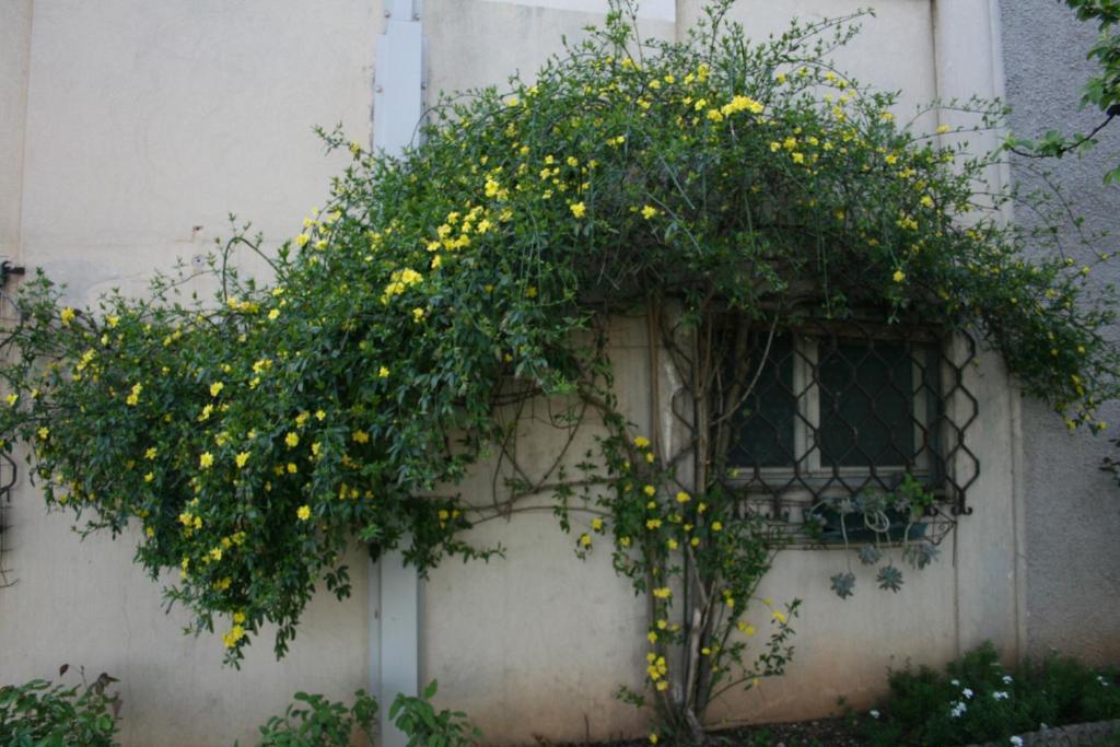B&B Il Glicine Bedizzole Luaran gambar