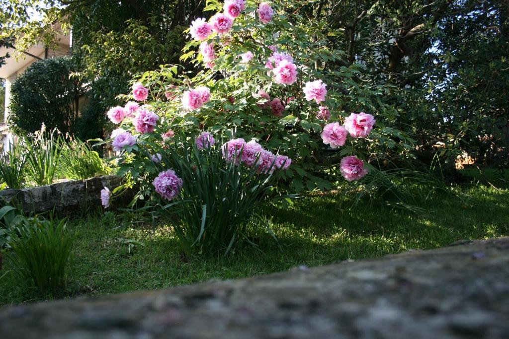 B&B Il Glicine Bedizzole Luaran gambar